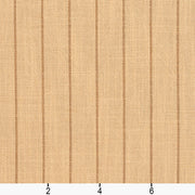 Charlotte - D107 - Wheat Pinstripe - Fabric by the Yard - D107 - D107_Ruler