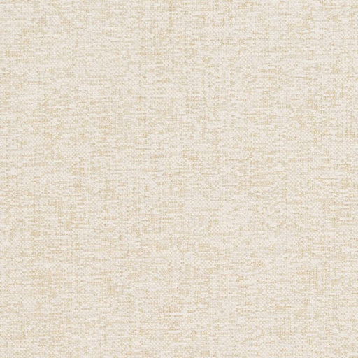 Charlotte - D1103 - Eggshell - Fabric by the Yard Eggshell
