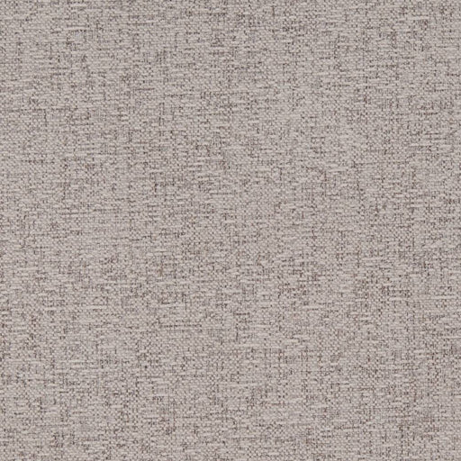 Charlotte - D1104 - Fossil - Fabric by the Yard Fossil