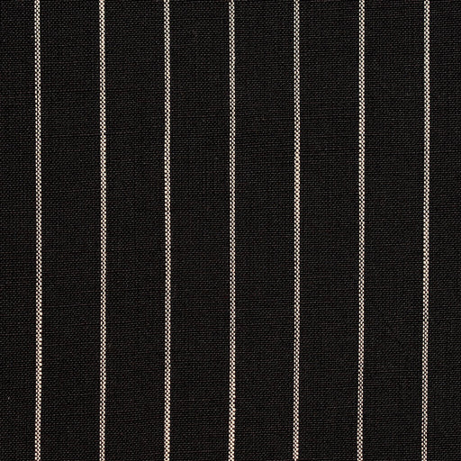 Charlotte - D110 - Onyx Pinstripe - Fabric by the Yard Onyx Pinstripe