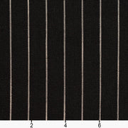 Charlotte - D110 - Onyx Pinstripe - Fabric by the Yard - D110 - D110_Ruler