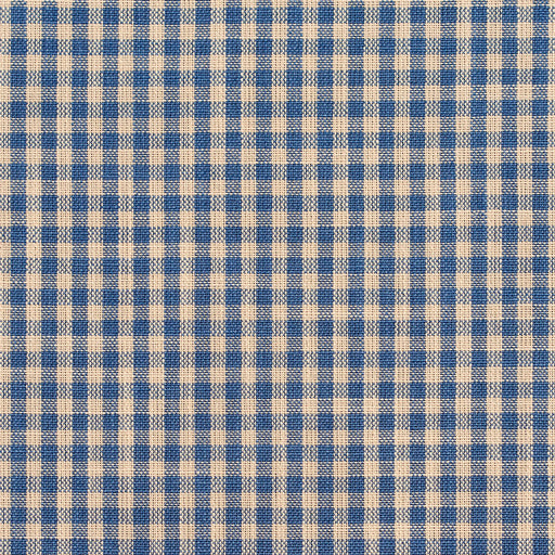 Charlotte - D116 - Wedgewood Gingham - Fabric by the Yard Wedgewood Gingham