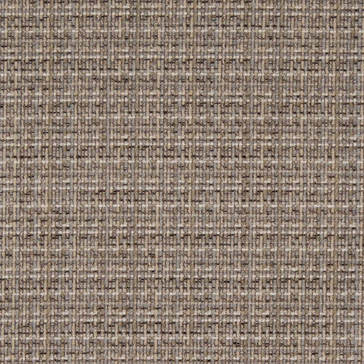 Charlotte - D1175 - Driftwood - Fabric by the Yard Driftwood
