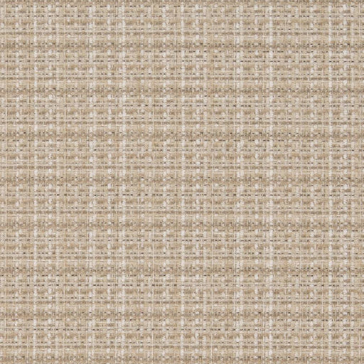 Charlotte - D1176 - Oat - Fabric by the Yard Oat