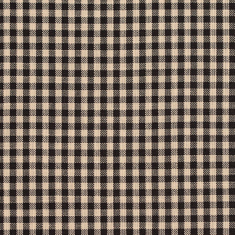 Charlotte - D117 - Onyx Gingham - Fabric by the Yard Onyx Gingham