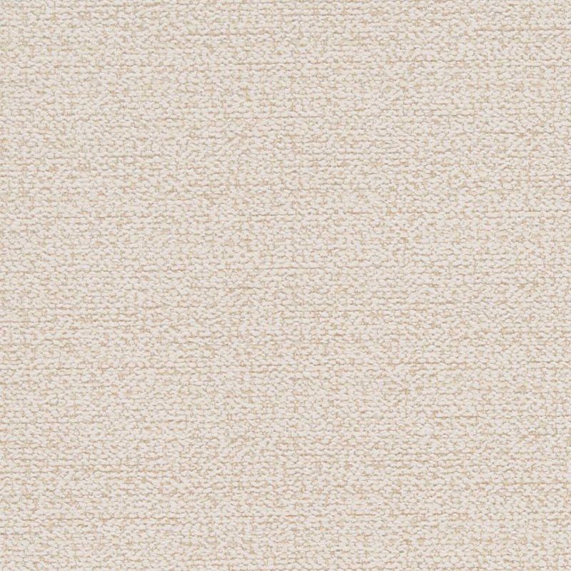 Charlotte - D1181 - Eggshell - Fabric by the Yard Eggshell