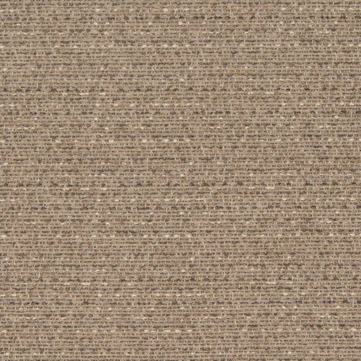 Charlotte - D1183 - Sandstone - Fabric by the Yard Sandstone