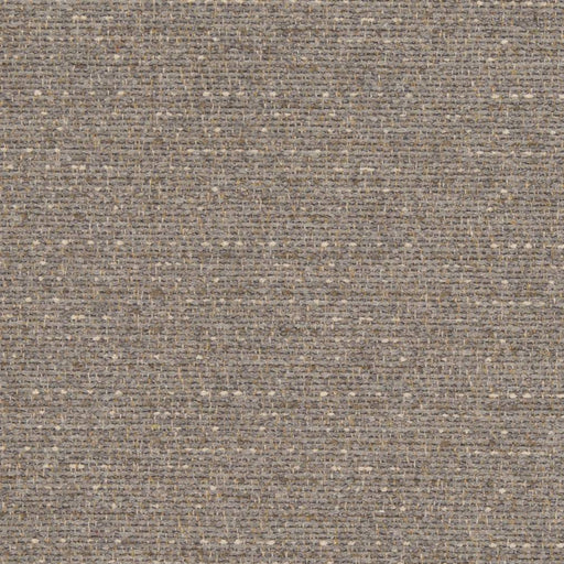Charlotte - D1186 - Pebble - Fabric by the Yard Pebble