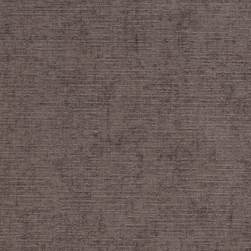 Charlotte - D1194 - Storm - Fabric by the Yard Storm