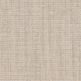 Charlotte - D1198 - Ecru - Fabric by the Yard