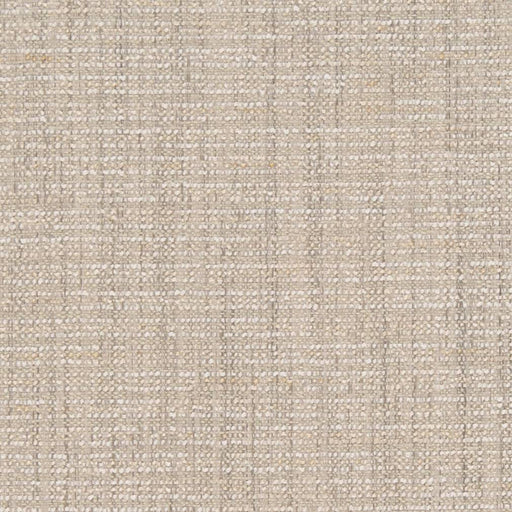 Charlotte - D1198 - Ecru - Fabric by the Yard Ecru