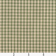Charlotte - D119 - Juniper Gingham - Fabric by the Yard - D119 - D119_Ruler