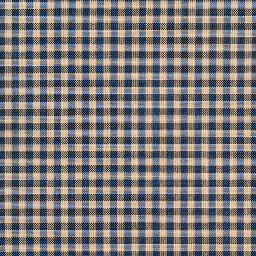 Charlotte - D120 - Indigo Gingham - Fabric by the Yard Indigo Gingham