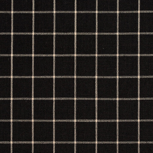 Charlotte - D124 - Onyx Checkerboard - Fabric by the Yard Onyx Checkerboard