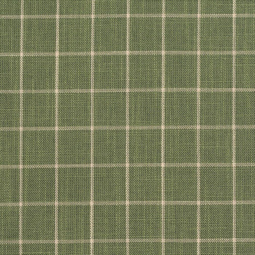 Charlotte - D126 - Juniper Checkerboard - Fabric by the Yard Juniper Checkerboard