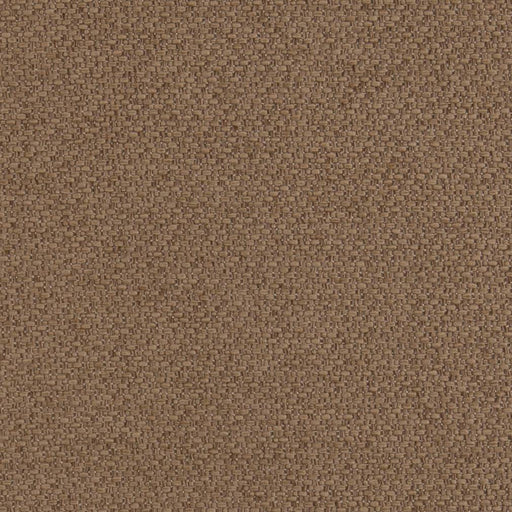 Charlotte - D1370 - Latte - Fabric by the Yard Latte