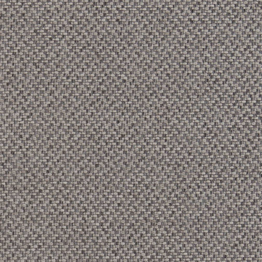 Charlotte - D1371 - Zinc - Fabric by the Yard Zinc
