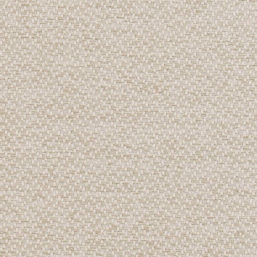 Charlotte - D1381 - Oyster - Fabric by the Yard Oyster