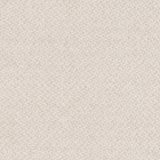 Charlotte - D1385 - Pearl - Fabric by the Yard