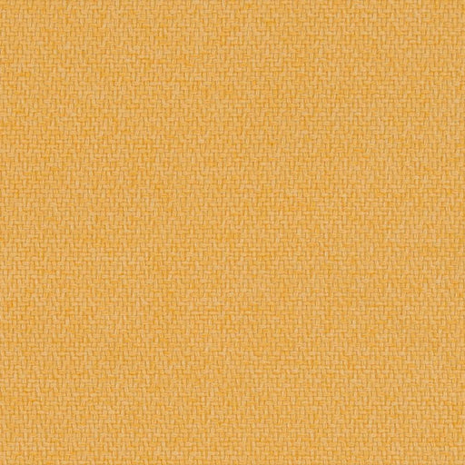 Charlotte - D1386 - Canary - Fabric by the Yard Canary