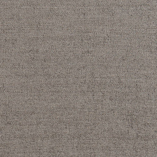 Charlotte - D1395 - Iron - Fabric by the Yard Iron
