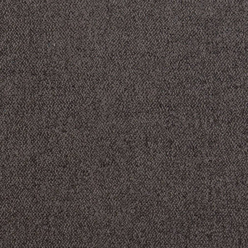 Charlotte - D1397 - Otter - Fabric by the Yard Otter