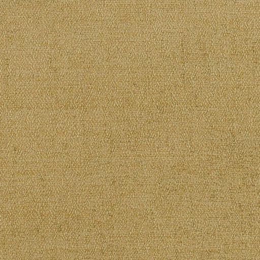 Charlotte - D1399 - Keylime - Fabric by the Yard Keylime