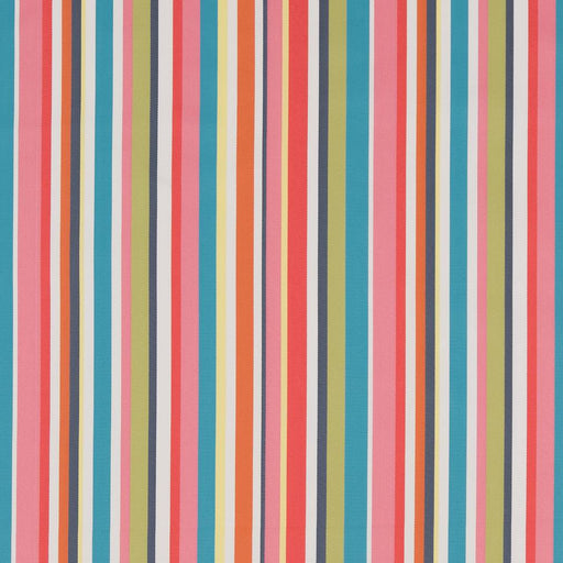 Charlotte - D1425 - Festival Stripe - Fabric by the Yard Festival Stripe
