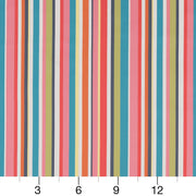 Charlotte - D1425 - Festival Stripe - Fabric by the Yard - D1425 - D1425_Ruler