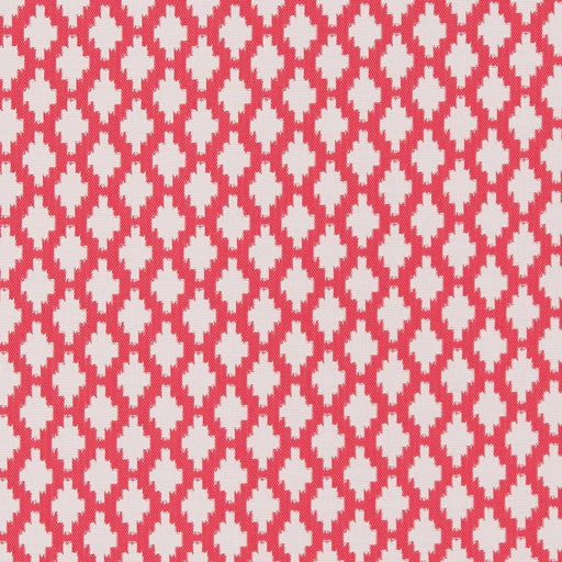 Charlotte - D1428 - Punch Inca - Fabric by the Yard Punch Inca