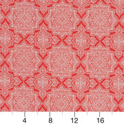 Charlotte - D1431 - Fiesta Mandala - Fabric by the Yard - D1431 - D1431_Ruler