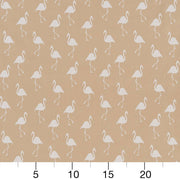 Charlotte - D1437 - Ecru Flamingo - Fabric by the Yard - D1437 - D1437_Ruler