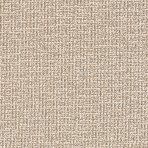 Charlotte - D1446 - Sandstone Texture - Fabric by the Yard Sandstone Texture
