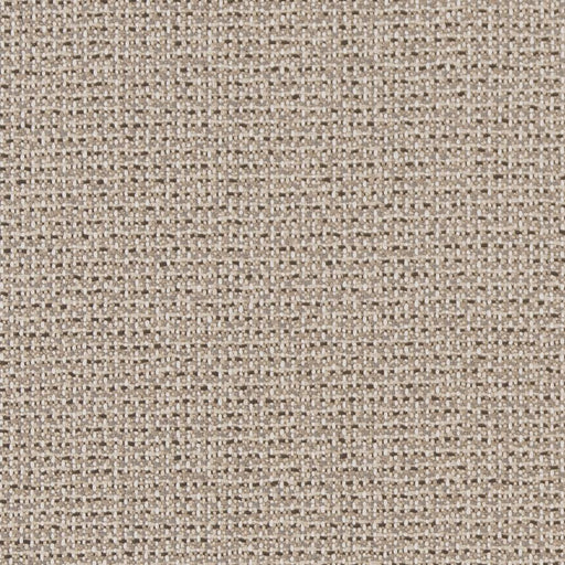 Charlotte - D1447 - Ecru Texture - Fabric by the Yard Ecru Texture