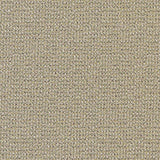 Charlotte - D1449 - Lime Texture - Fabric by the Yard