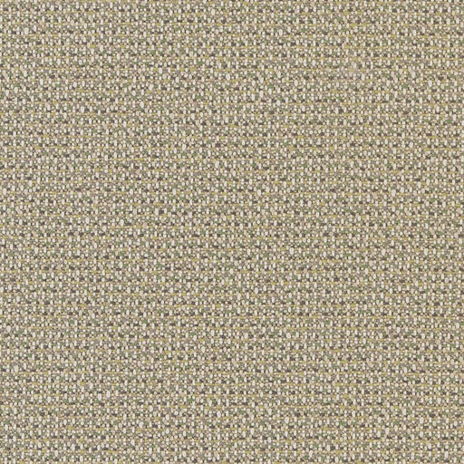 Charlotte - D1449 - Lime Texture - Fabric by the Yard Lime Texture