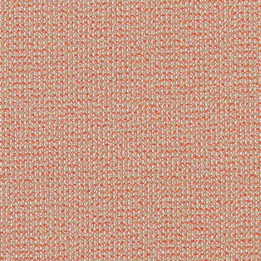Charlotte - D1450 - Punch Texture - Fabric by the Yard Punch Texture