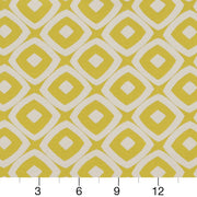 Charlotte - D1455 - Lime Mayan - Fabric by the Yard - D1455 - D1455_Ruler