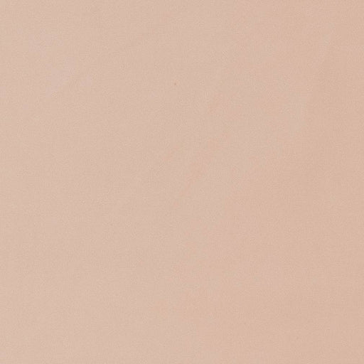 Charlotte - D1468 - Blush - Fabric by the Yard Blush