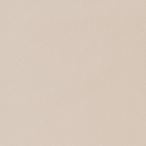 Charlotte - D1473 - Natural - Fabric by the Yard Natural