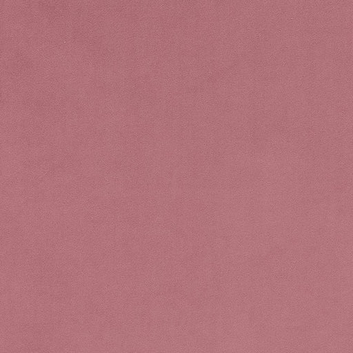 Charlotte - D1480 - Rose - Fabric by the Yard Rose