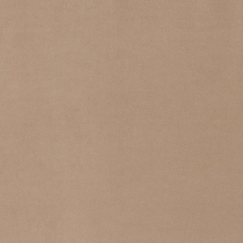 Charlotte - D1481 - Buff - Fabric by the Yard Buff