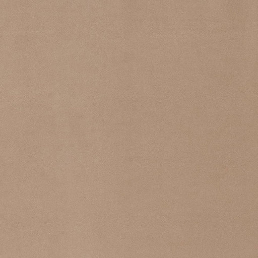 Charlotte - D1481 - Buff - Fabric by the Yard Buff