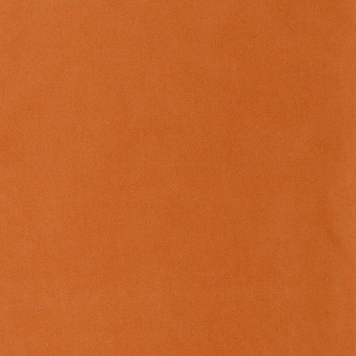 Charlotte - D1482 - Apricot - Fabric by the Yard Apricot