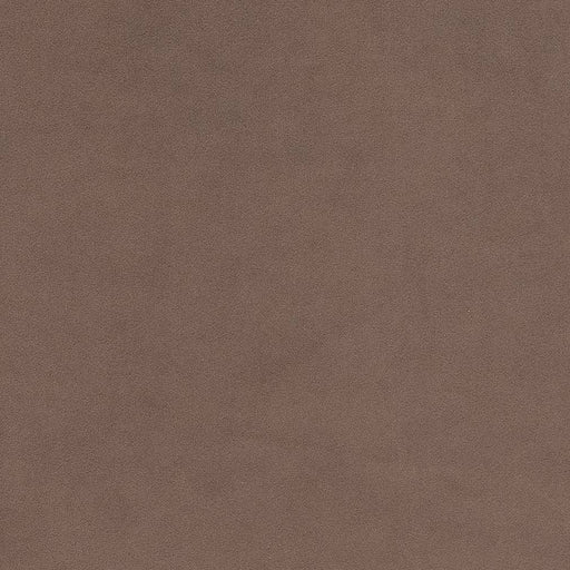 Charlotte - D1485 - Taupe - Fabric by the Yard Taupe