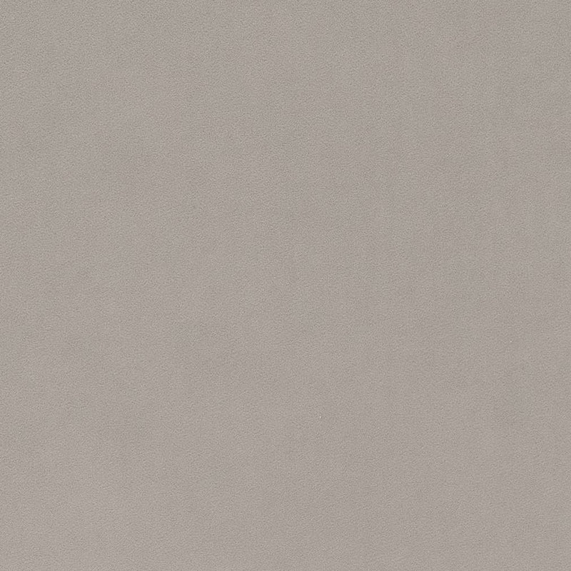 Charlotte - D1486 - Platinum - Fabric by the Yard Platinum