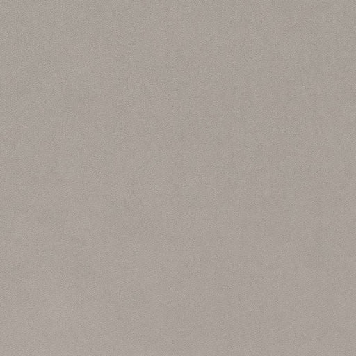Charlotte - D1486 - Platinum - Fabric by the Yard Platinum