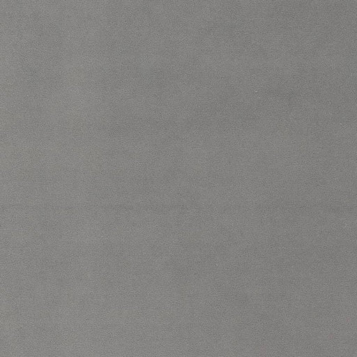 Charlotte - D1493 - Pewter - Fabric by the Yard Pewter
