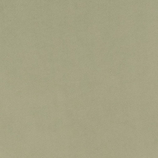 Charlotte - D1494 - Mint - Fabric by the Yard Mint
