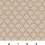 Charlotte - D1535 - Parchment Ogee - Fabric by the Yard - D1535 - D1535_Ruler